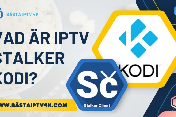 IPTV Stalker Kodi