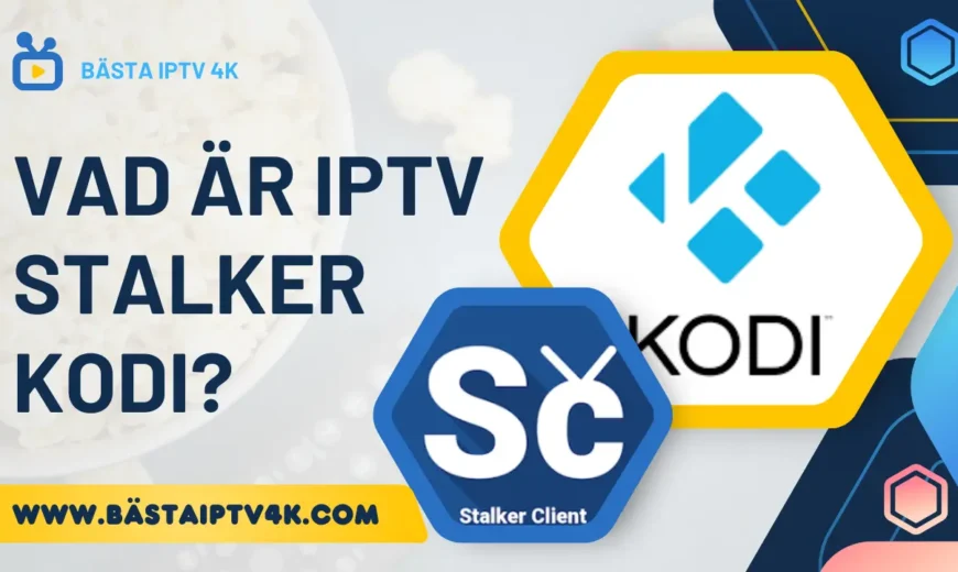 IPTV Stalker Kodi